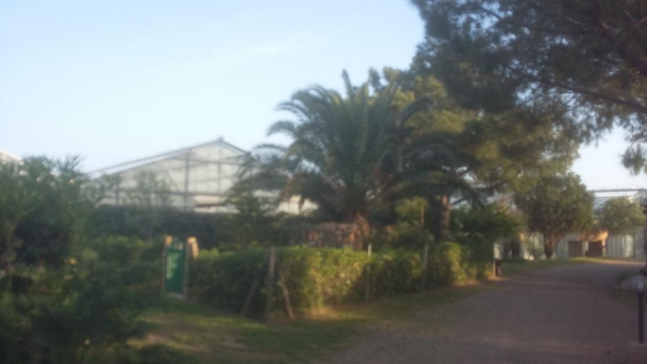 SantʼAnna ArresiLa Contea住宿加早餐旅馆 外观 照片